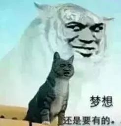 长春2021到2025房价预测,3月份长春市二手房价格