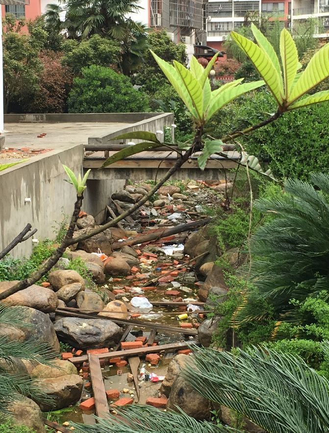 南昌县脏乱差小区,南昌一小区被投诉