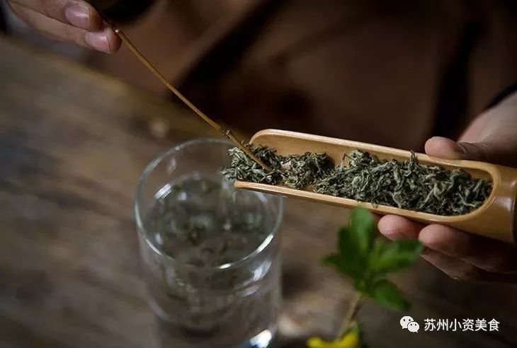 这是一份千年古泉水带来的春季崇高礼遇！（文末福利）