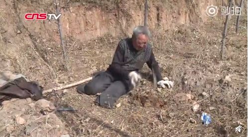 早安池州〔2019.4.1周一〕