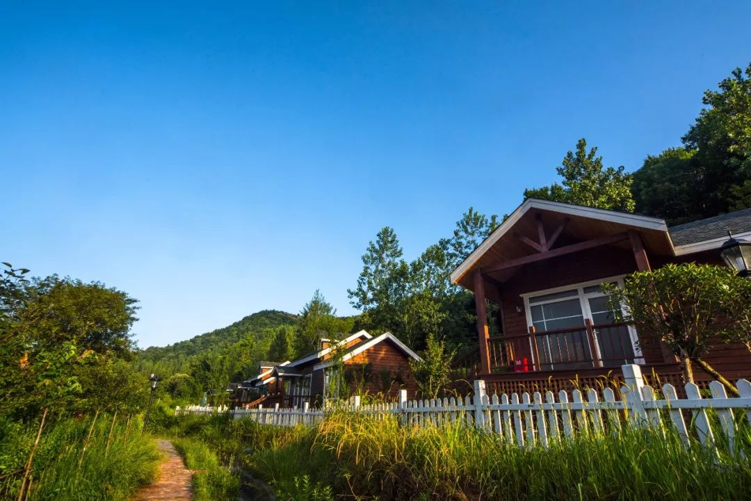 新县民宿创业,新县民宿60元包吃住