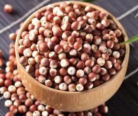 薏米特殊功效与作用,薏米的功效与作用医学百科