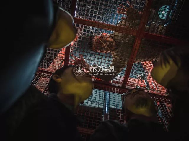 密室大逃脱出乎了自己意料,密室大逃脱解密多还是恐怖多