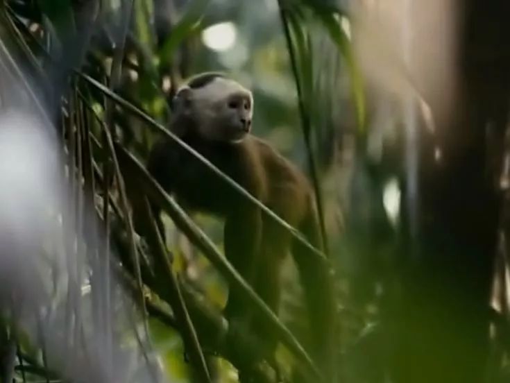 被绑架的4岁小孩,4岁儿童被绑架