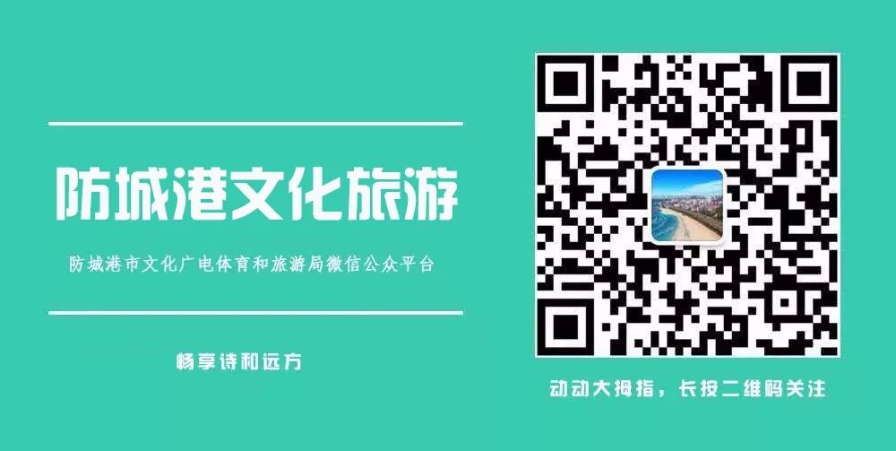 上山下海去旅行,上山下海出国游