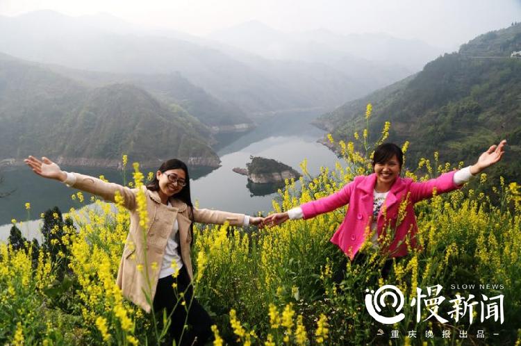 踏青赏樱花正当时,踏青赏景正当时