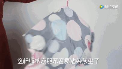 衣柜潮湿生虫子怎么处理,衣柜缝隙里有大虫子怎么办