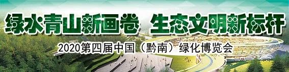 高考加油安庆,贵州黔南高考加油视频