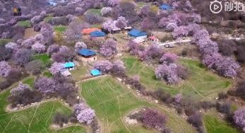 最适合清明旅行的20个地方,清明小长假适合哪里旅游