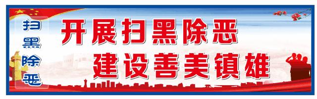 萨嘎县第七届税务杯足球比赛,镇雄足球赛