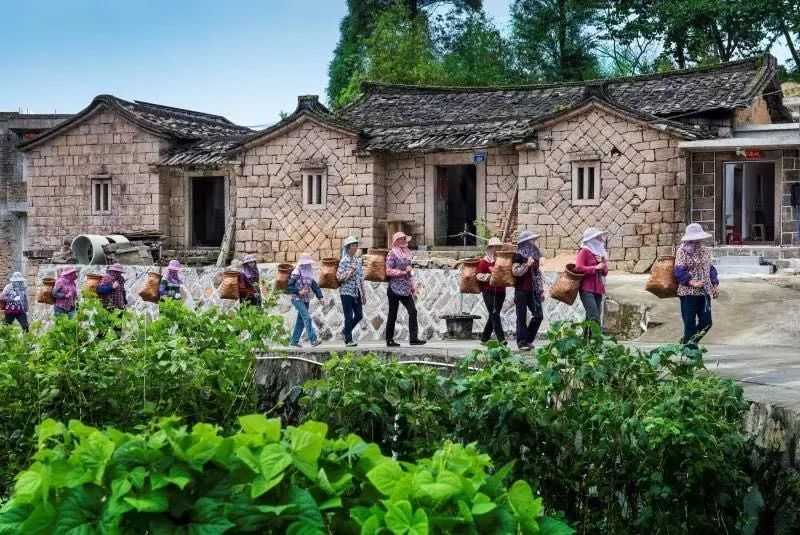 厦门同安真实风景,镜头下的风景真的很美