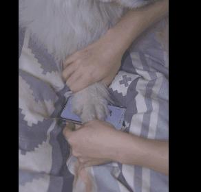 鼻子吸套套、脑袋浇开水…果然国外人少是有原因的啊！！