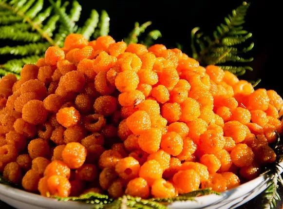 黄泡熟了，我在龙陵等你一起克摘黄泡！