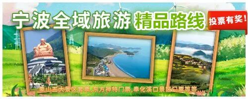 助力家乡发展旅游,助力家乡旅游业发展