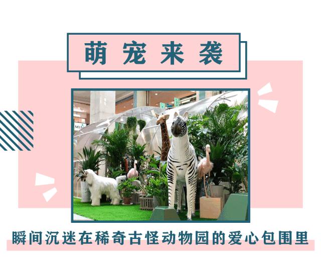 长沙这家mall真会玩，1块钱能当200块花！连悬疑作家都来打卡了？！