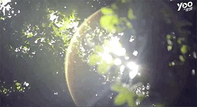 跟刘昊然在非洲过了6天5夜,发现他其实就是个话痨加多动症啊……