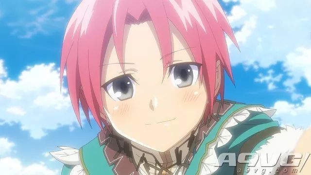 switch符文工房4豪华版怎么买,switch游戏卡带符文工房