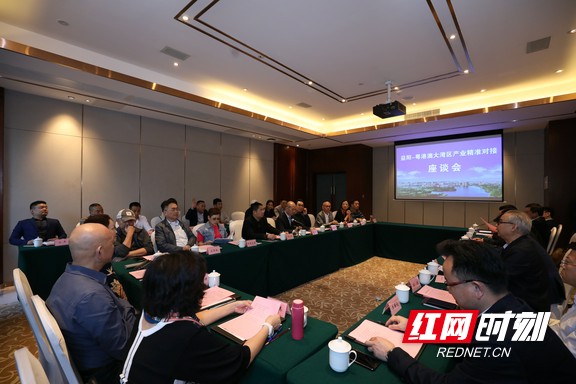 粤港澳大湾区投资公司,粤港澳大湾区产融投资公司怎么样