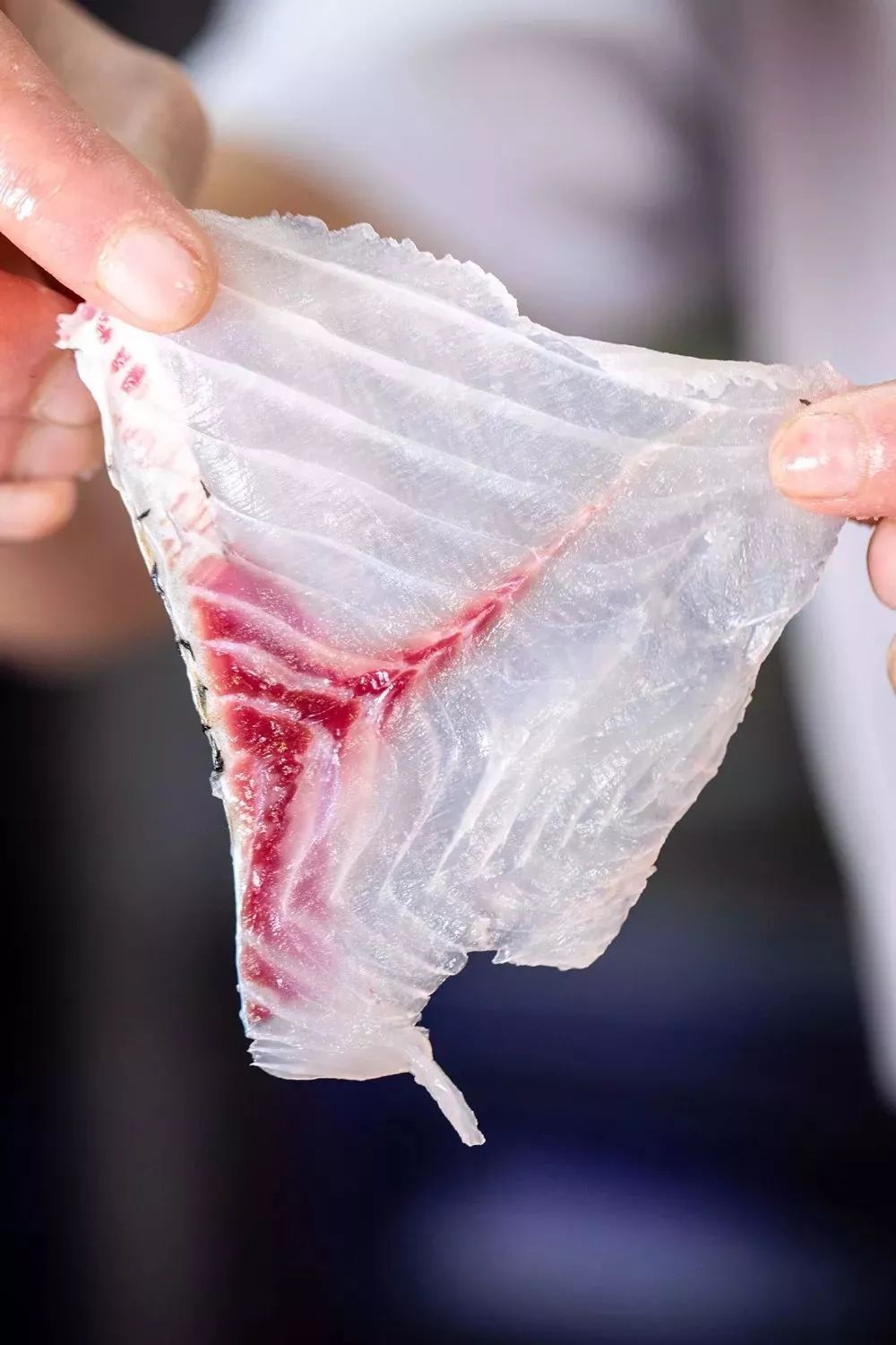 5折！蜀都丰周年庆典引燃长乐！连续8天！