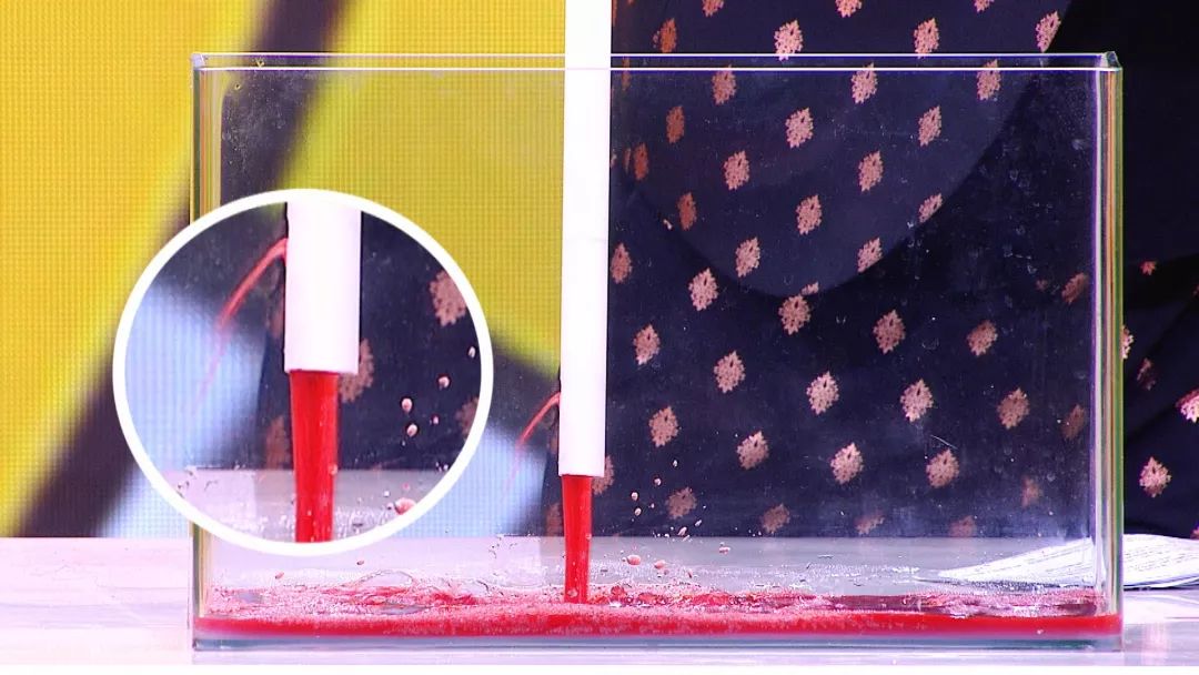 今日养生堂节目回放,养生堂今日最新预告