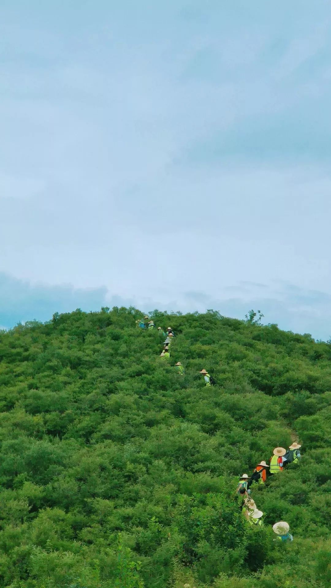 爱上南望山“宝藏高校”：中国地质大学（武汉）！
