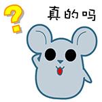 丹江口斗鱼,斗鱼之路丹江口