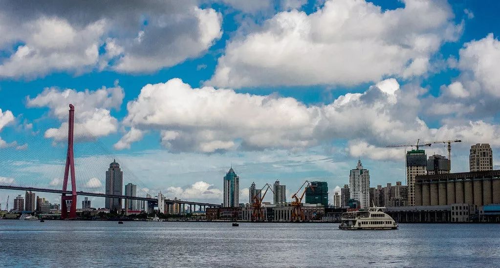 上海人吃老酒口头禅,上海人吃的鱼