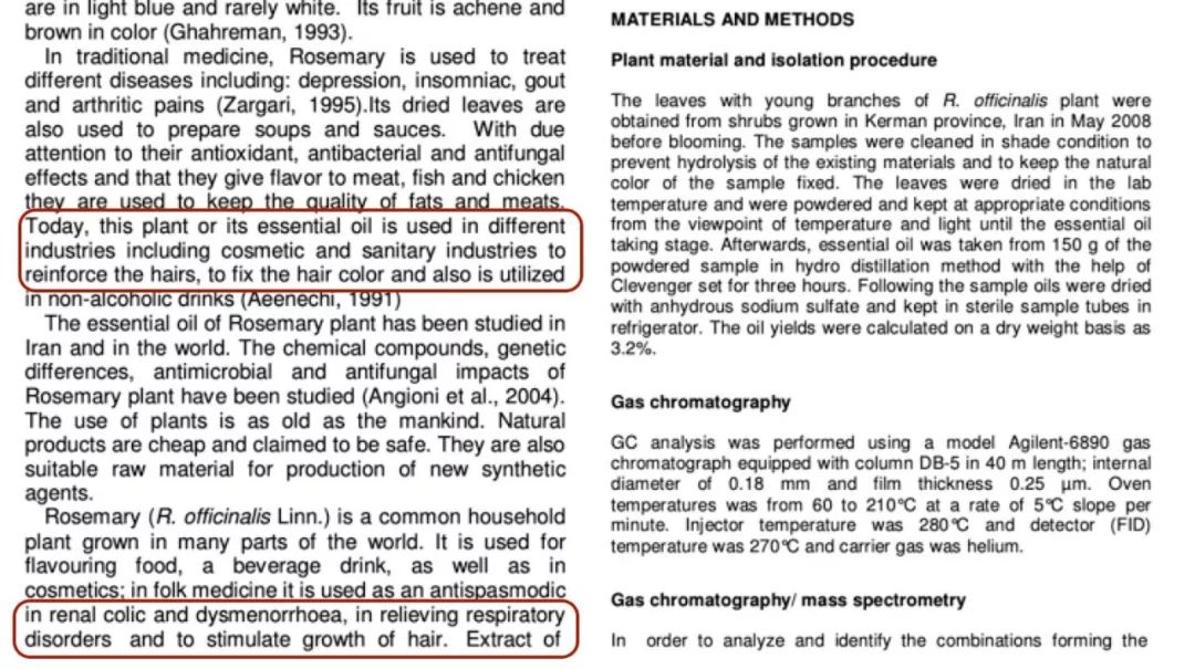 新西兰高端沙龙专用，2秒1喷，增发从“根”开始