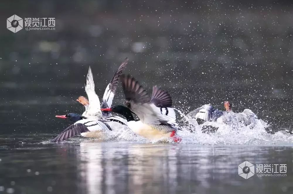 江西省得到了哪些地方的扶持,中央有对江西的扶持吗
