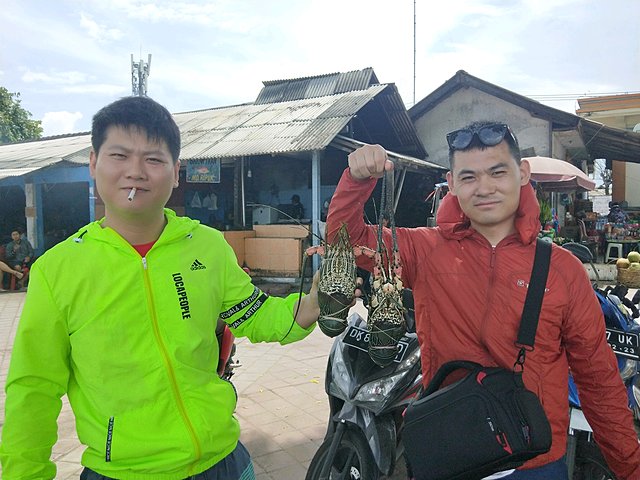 巴厘岛阿勇河漂流自由行,巴厘岛佩尼达岛浮潜视频