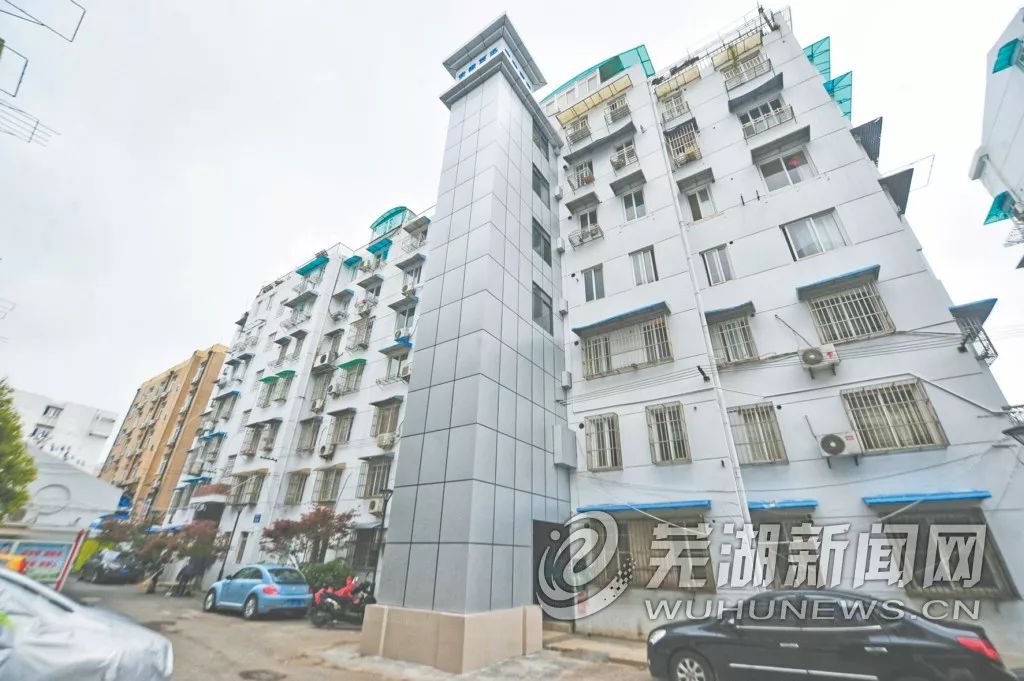 【早安·芜湖】中山南路的10多棵大树为何被砍？