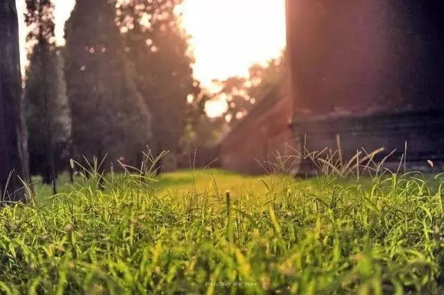 曲阜之行感受儒家文化,曲阜文化之旅感受