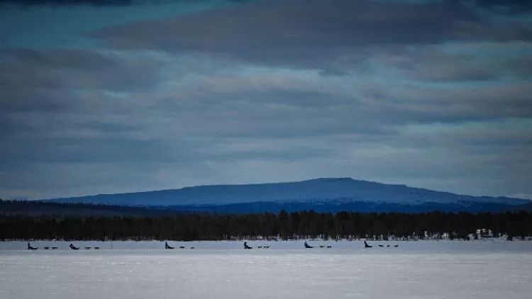 推荐丨瑞典:户外爱好者驾驶狗拉雪橇穿越极地