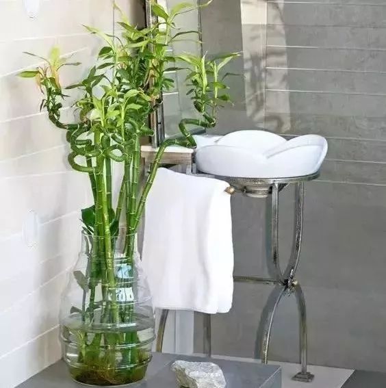 过期药片可以直接放在花盆里吗,过期药片放在花盆里怎么办