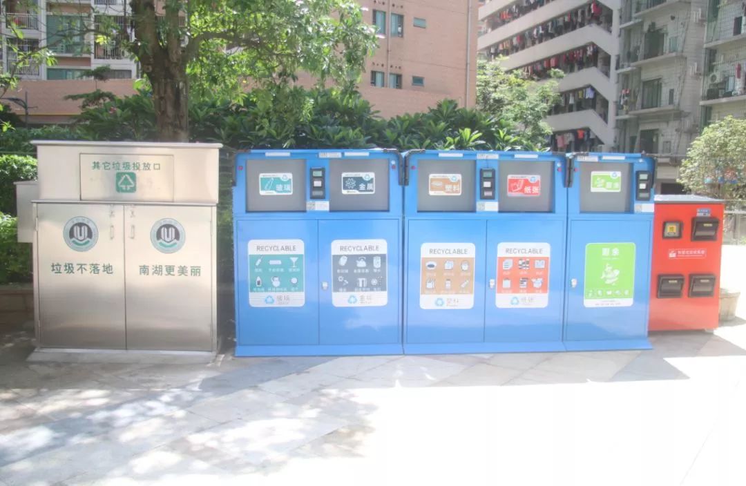 9大行动！罗湖掀起了一股热潮！齐心协力干好这件事！