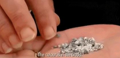 BBC又来惊爆：你抹口红，就是在亲吻上万只昆虫尸体？美丽背后这么血腥…