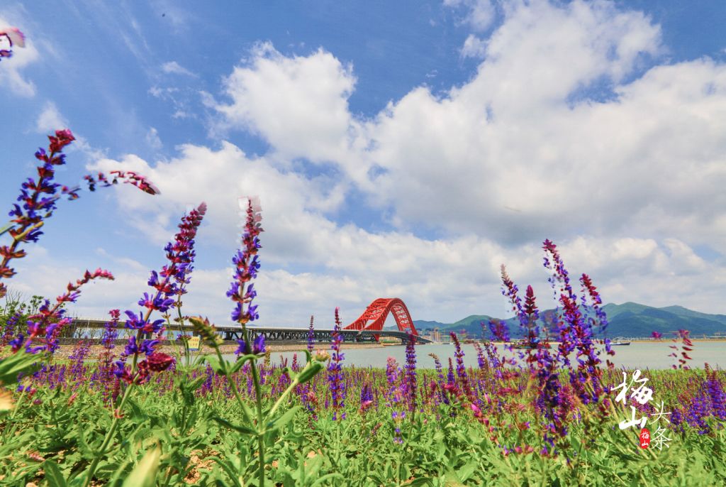 最美梅山,美丽南安梅山