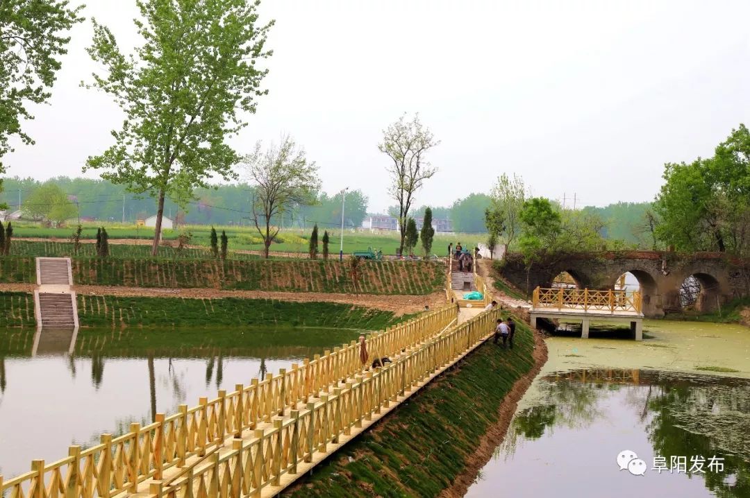 新疆昭苏县千亩芍药盛开,3a景区有哪些村