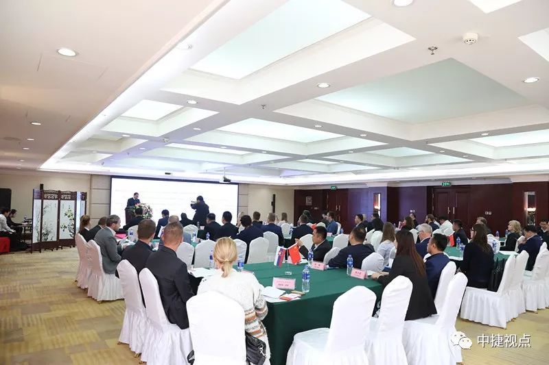 热烈欢迎斯洛伐克商务代表团来我区访问——我区举行中斯企业合作洽谈会