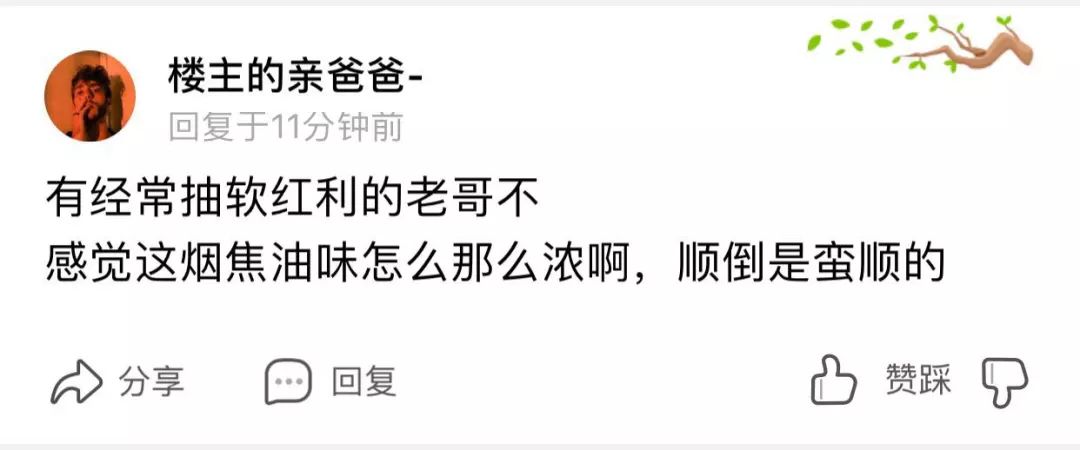 小红书整改,小红书整改最新消息