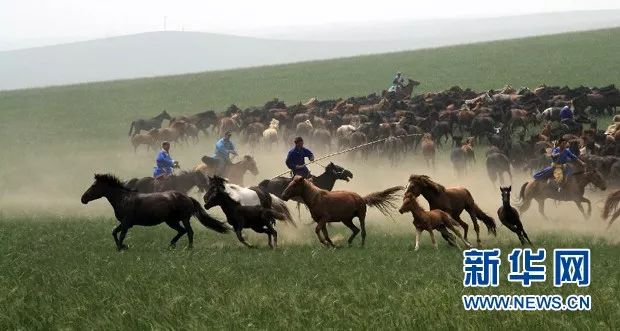 赞牛原切牛排,赞牛最好的一首诗
