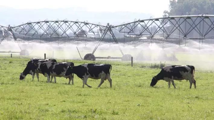 为什么新西兰黄油那么难吃,新西兰食用黄油价格多少