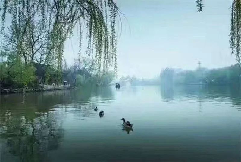 古诗词望江南宋代,古诗望江南作者苏轼