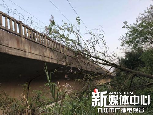 【04•19早安！九江】濂溪区一洗浴会所暗藏卖淫嫖娼；打老婆要充满爱？？？；工藤新一参选市议员了?