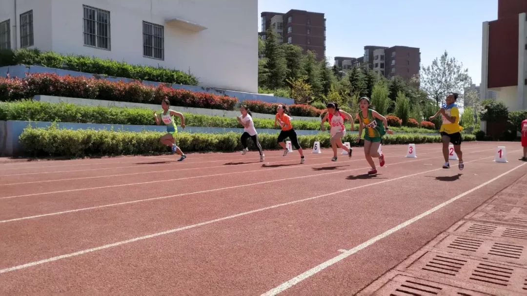 老城区阳光体育运动会,东河地区中小学生阳光体育运动会