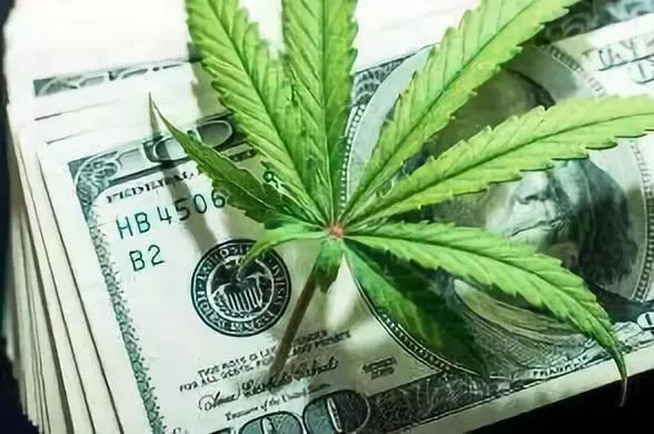 工业大麻产业前景如何,工业大麻行业发展