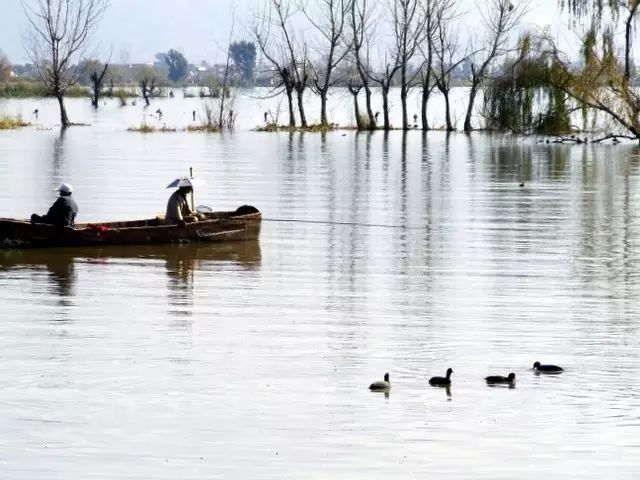 四川有座紫色小城，5月比美澳洲，比大理更多情