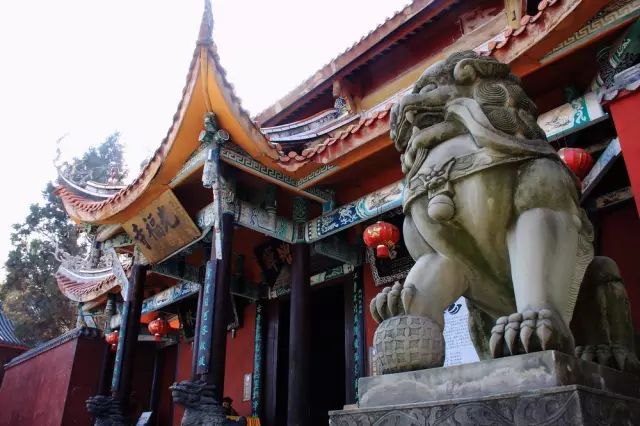 四川有座紫色小城，5月比美澳洲，比大理更多情