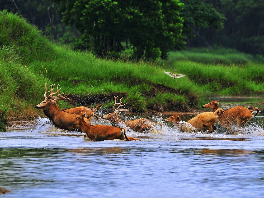 致公路沿线群众一封信,致马拉松运动员的一封信