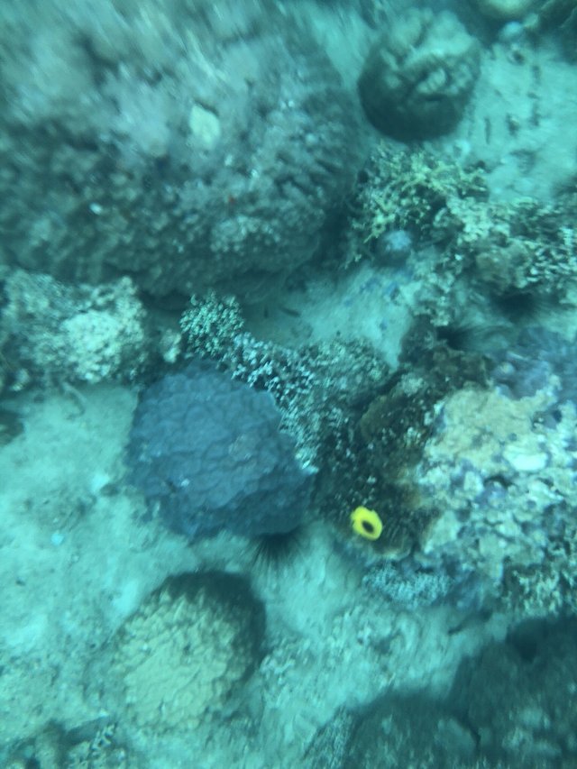 越南越美自由行攻略,越南越美旅游推荐